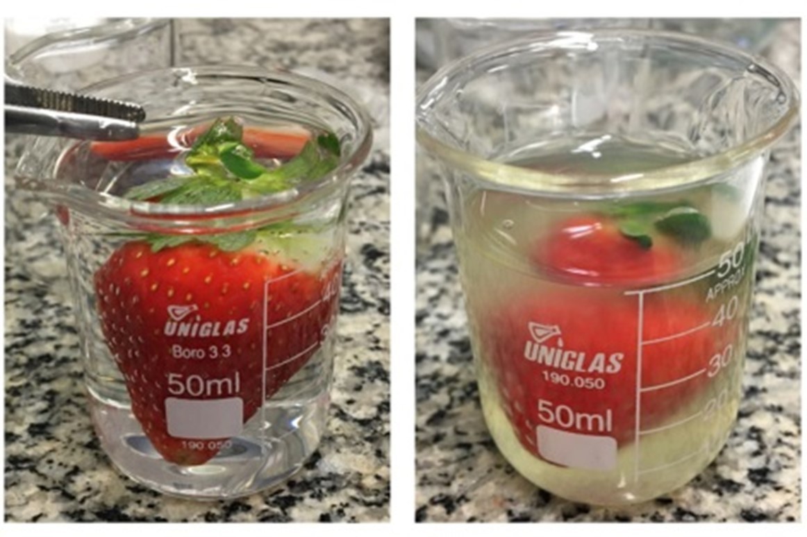 Sử dụng vỏ lựu làm lớp phủ bảo quản dâu tây