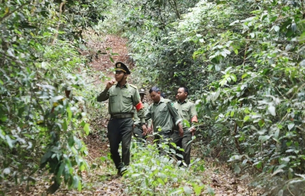Những “người giữ rừng” nơi bon làng Tuy Đức