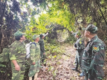 vuon quoc gia phong nha ke bang trien khai cong tac phong chay chua chay rung