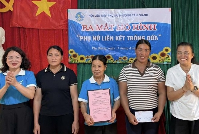 Hội LHPN phường Tân Giang ra mắt mô hình “Phụ nữ liên kết trồng dứa”