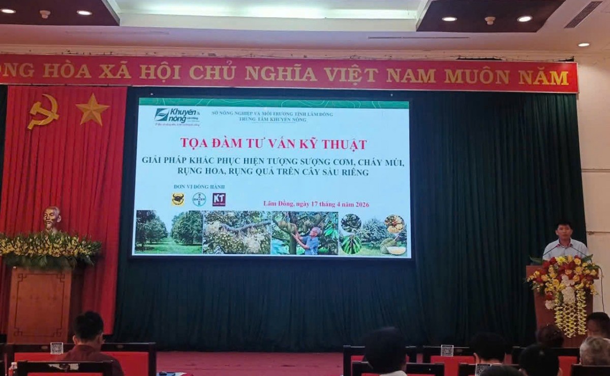 Tọa đàm tư vấn kỹ thuật sầu riêng: Cơ hội nâng cao hiệu quả sản xuất cho nông dân