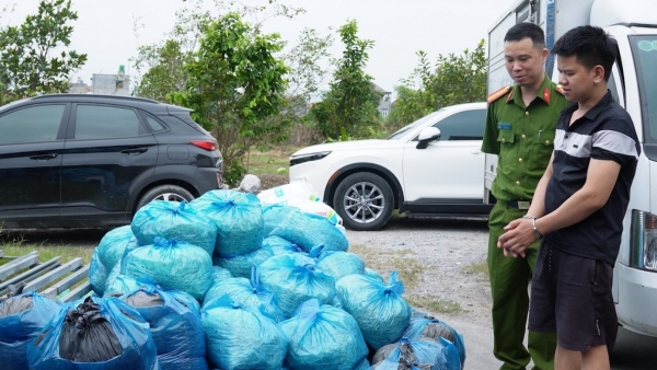 Quảng Ninh: Hàng loạt xưởng sản xuất giá đỗ sử dụng chất cấm bị triệt phá