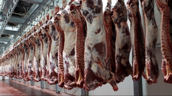 Thịt bò tăng giá kỷ lục khi Trung Quốc siết hạn ngạch nhập khẩu, ngành chăn nuôi Brazil chạy đua xuất khẩu