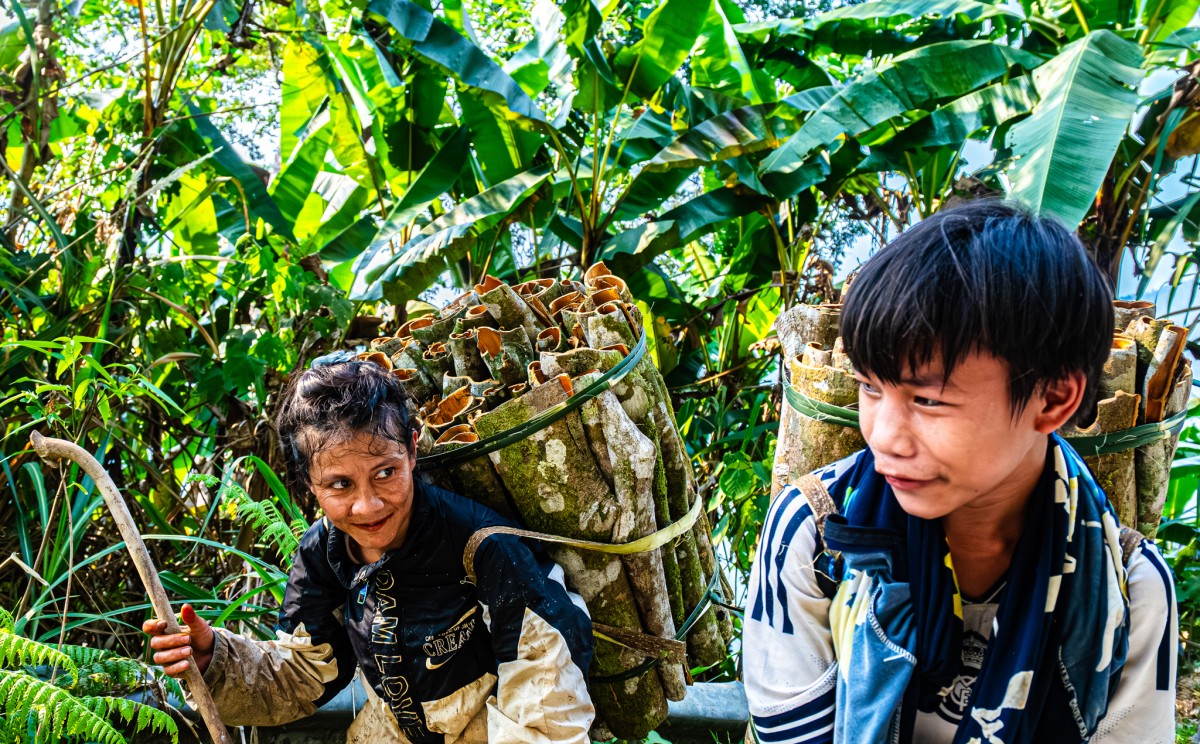 Quế Trà Leng: Từ sản vật đại ngàn đến không gian xúc tiến thương mại