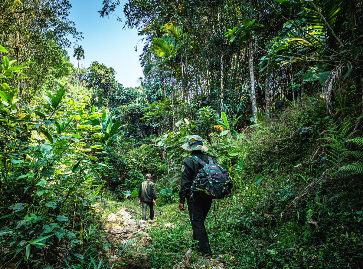 Quế Trà Leng: Từ sản vật đại ngàn đến không gian xúc tiến thương mại