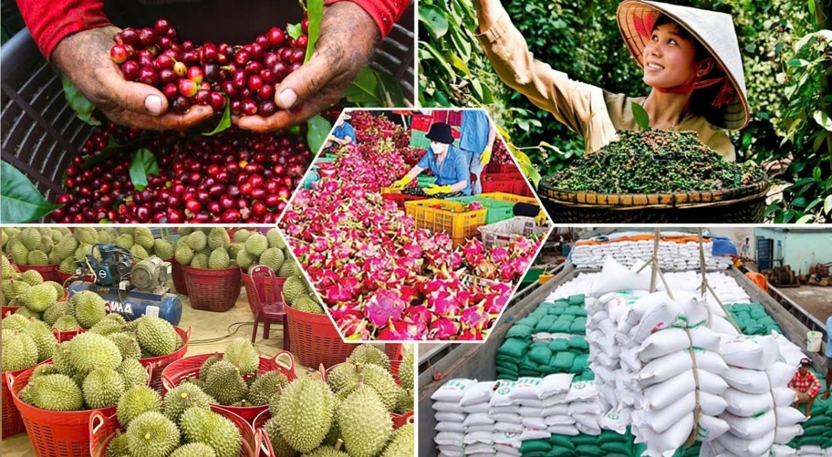Xuất khẩu rau quả vượt 2 tỷ USD sau 4 tháng, tăng tốc hướng mốc 10 tỷ USD