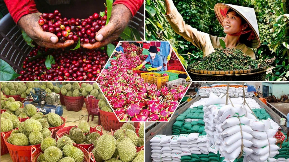 Xuất khẩu rau quả vượt 2 tỷ USD sau 4 tháng, tăng tốc hướng mốc 10 tỷ USD