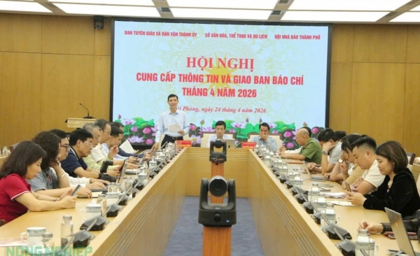 Hải Phòng: "Tăng tốc" cho mùa Lễ hội Hoa Phượng Đỏ 2026