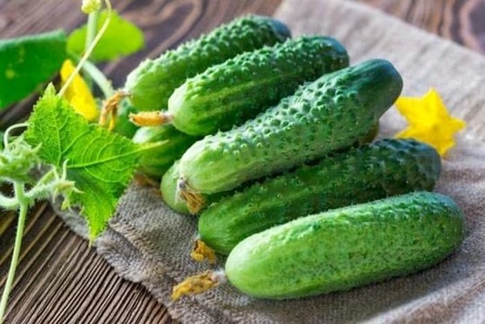 Ăn dưa chuột bị đắng và cách chọn dưa chuột không lo độc tố