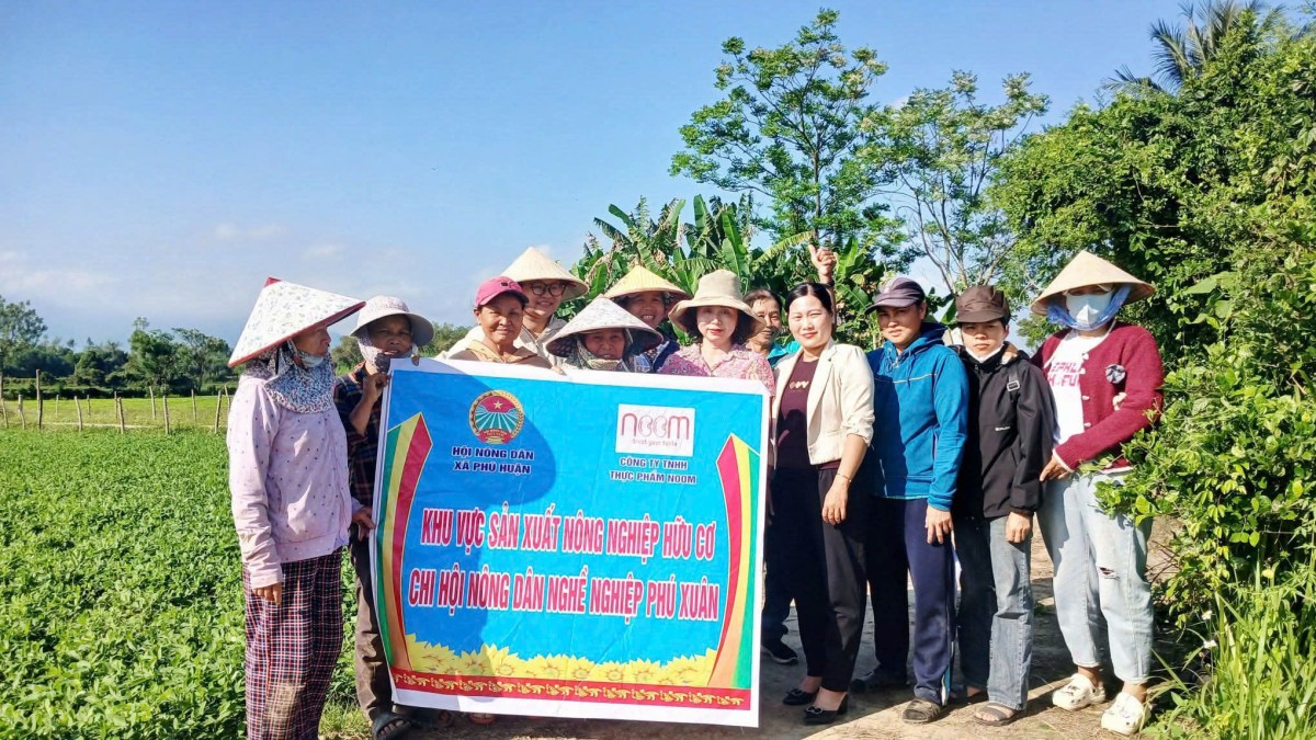 Gắn kết nông dân – doanh nghiệp, phát triển nông nghiệp hữu cơ bền vững tại Xuân Nam.