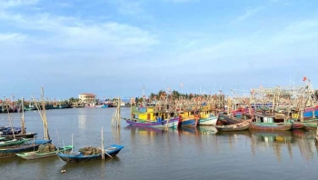 Ninh Bình: Hoàn thành kiểm kê, làm sạch dữ liệu tàu cá trước 25/5