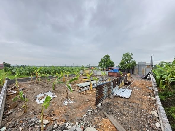 Phường Lê Ích Mộc (Hải Phòng): Kiên quyết xử lý vi phạm trật tự xây dựng và quản lý đất đai