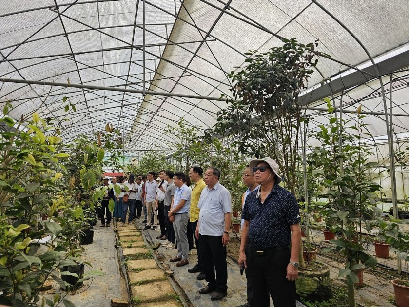 tam nhin chien luoc khoi nguon luc nang tam nong nghiep ninh binh