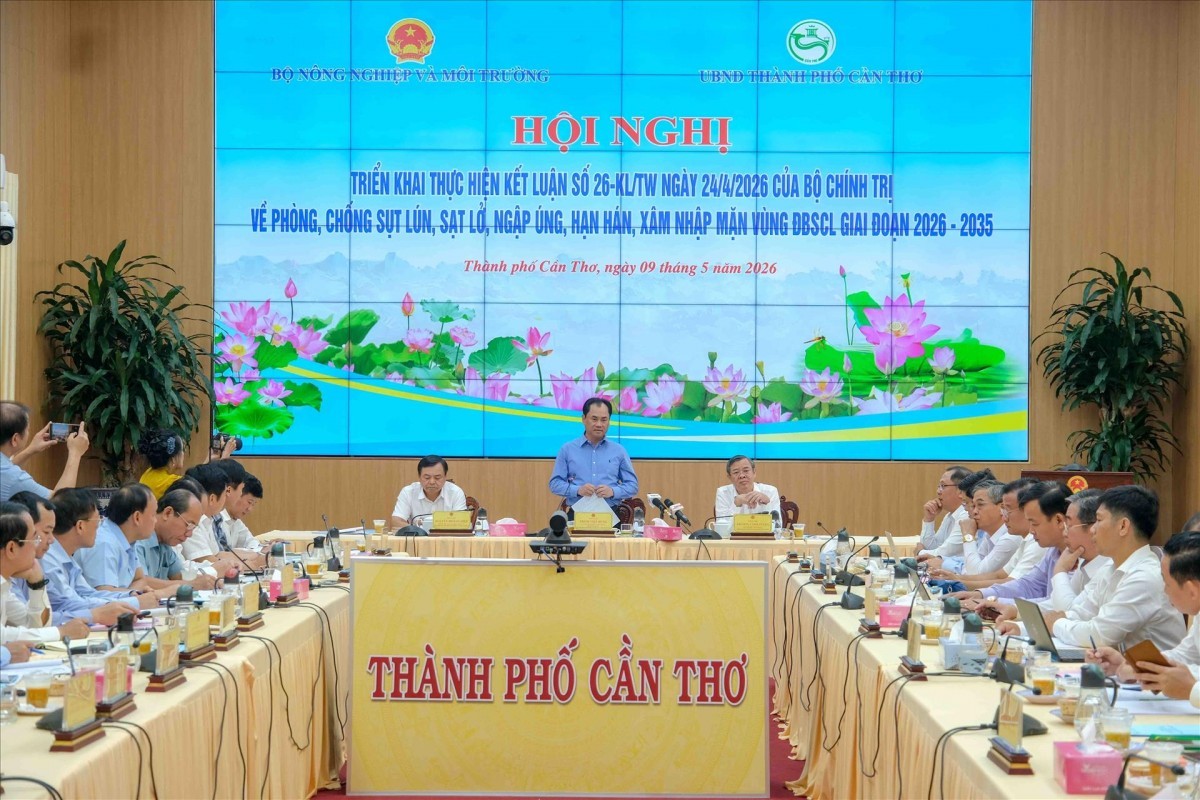 ĐBSCL triển khai 8 dự án hơn 32.000 tỷ đồng ứng phó sụt lún, sạt lở và hạn mặn