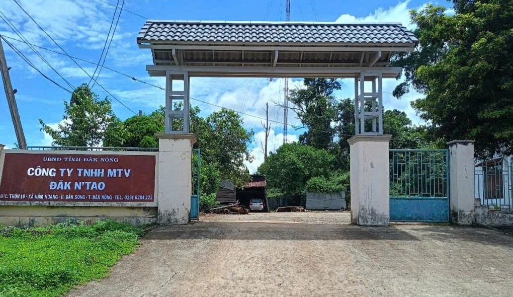 “Nóng” tình trạng lấn, chiếm đất lâm nghiệp của Công ty TNHH MTV Đắk N