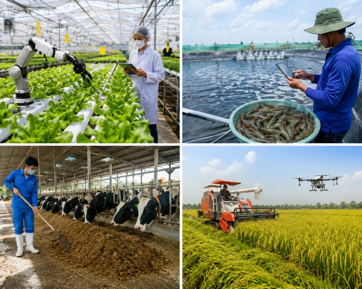 Tập trung phát triển nông nghiệp công nghệ cao, hữu cơ tuần hoàn