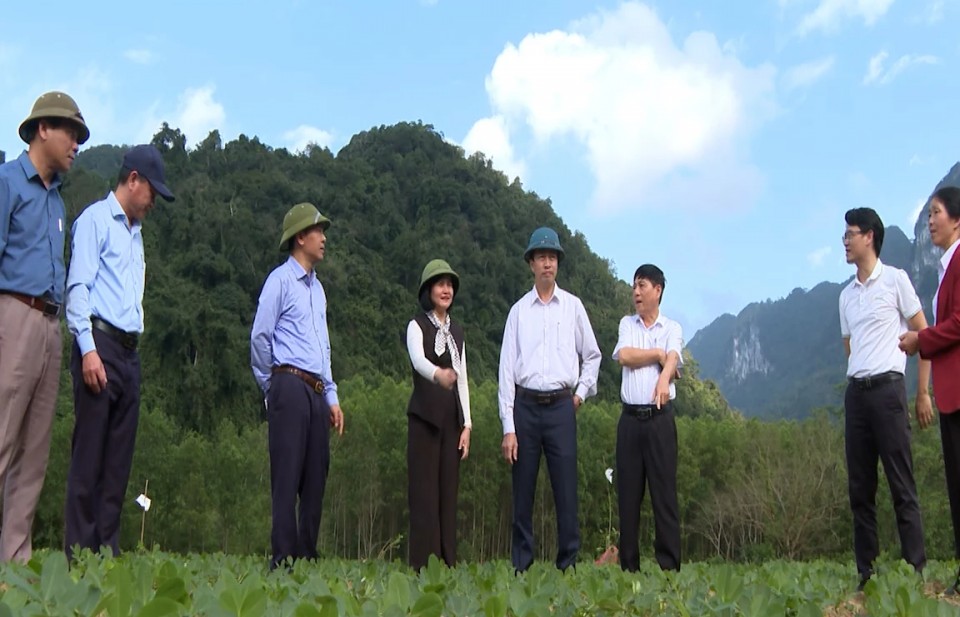 Chứng nhận hữu cơ EU - Bước ngoặt cho nông sản Trường Sơn