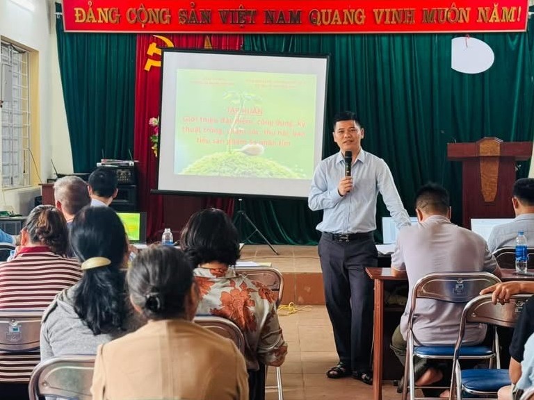 Cao Bằng: Hội thảo triển khai trồng rừng và cây dược liệu dưới tán rừng