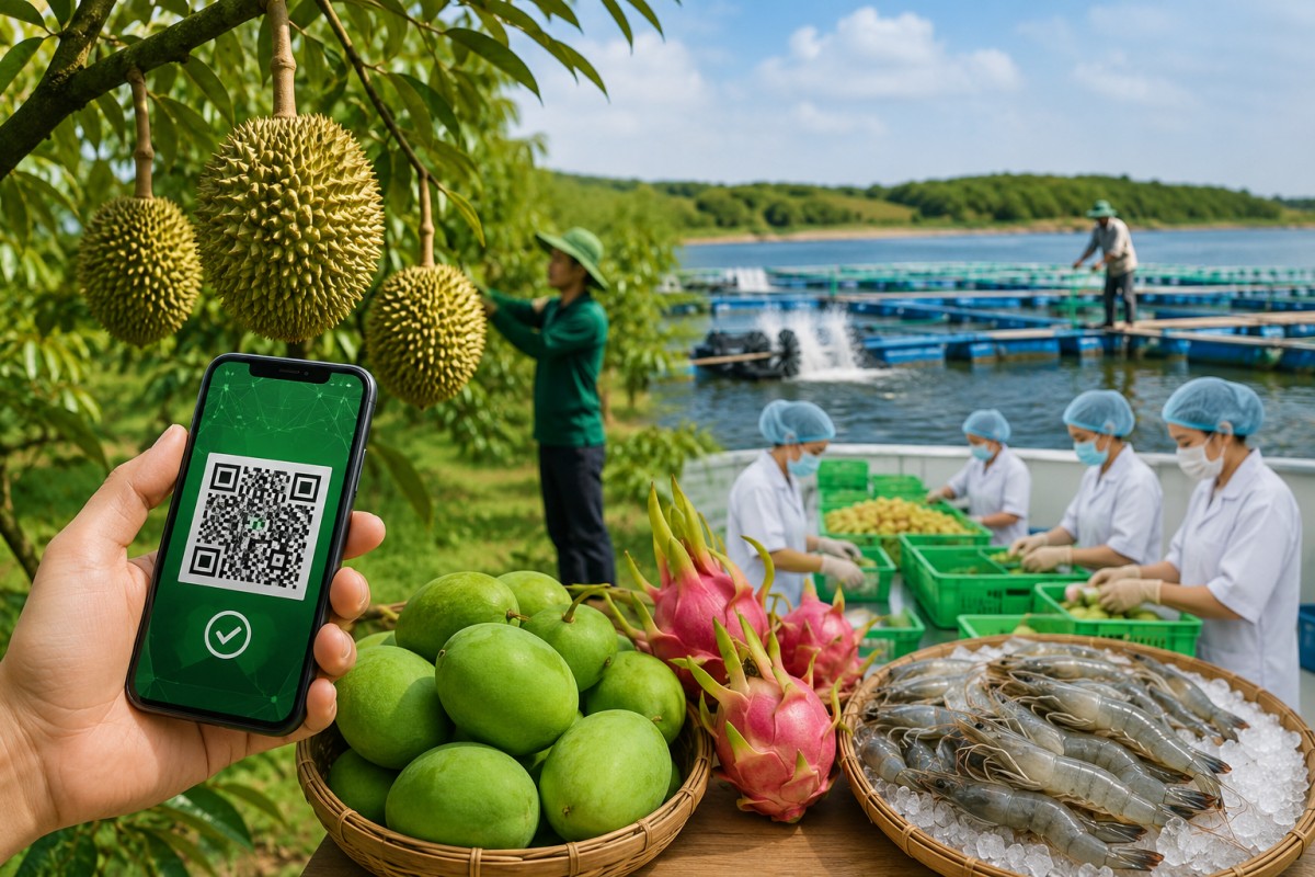 Đồng Tháp triển khai truy xuất nguồn gốc nông, lâm, thủy sản đến năm 2035