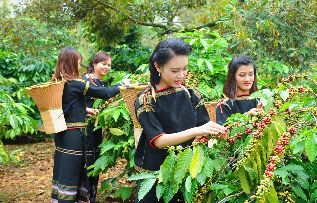 thuc day nong thon moi giam ngheo ben vung va phat trien vung dong bao dan toc thieu so