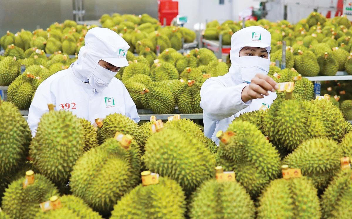 Quyết liệt tháo gỡ “nút thắt” kiểm nghiệm, thúc đẩy xuất khẩu sầu riêng và nông sản chủ lực