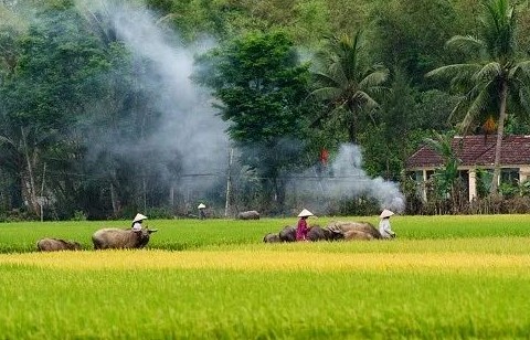 Nông nghiệp, nông dân, nông thôn - mối quan tâm hàng đầu của Đảng và Nhà nước