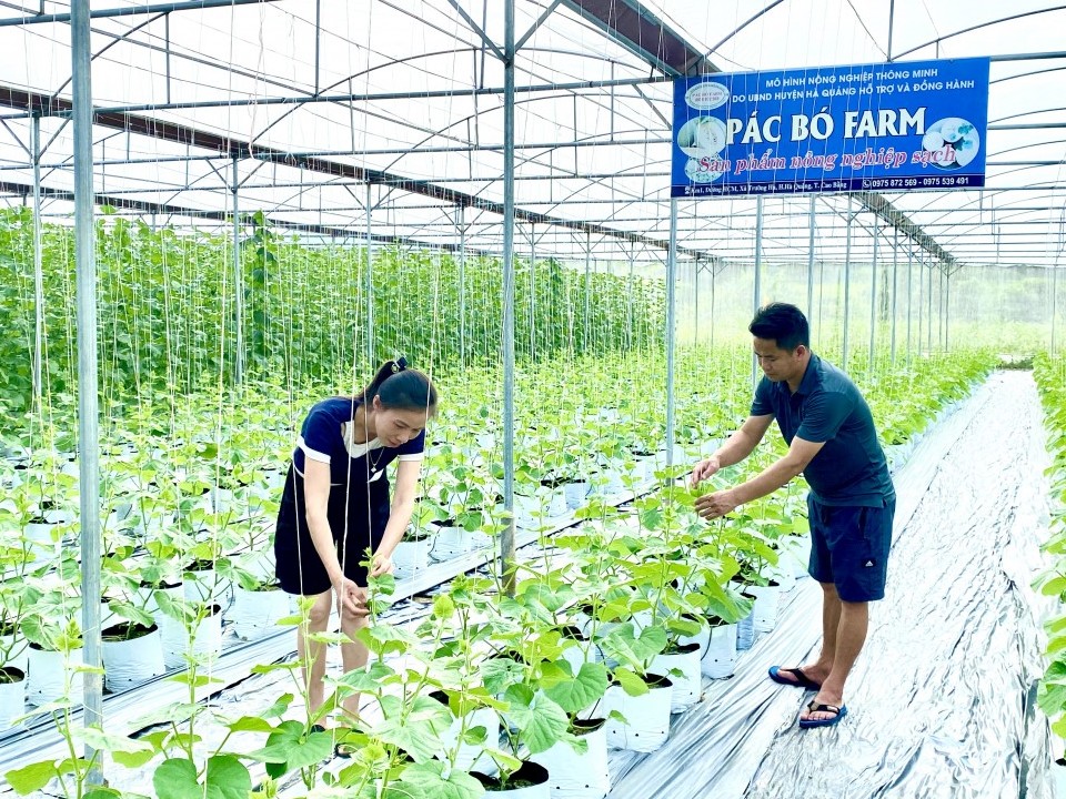 Quỹ hỗ trợ nông dân - động lực thúc đẩy kinh tế nông thôn bền vững