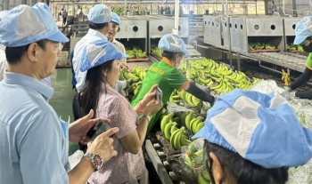Gia Lai triển khai kế hoạch truy xuất nguồn gốc nông sản trên địa bàn tỉnh