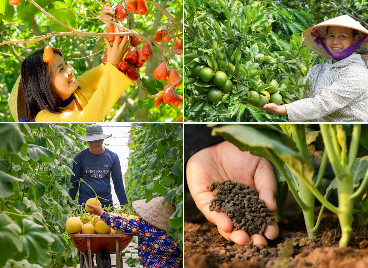 Giảm phát thải: Hướng đi mới để nâng cao giá trị nông sản Việt