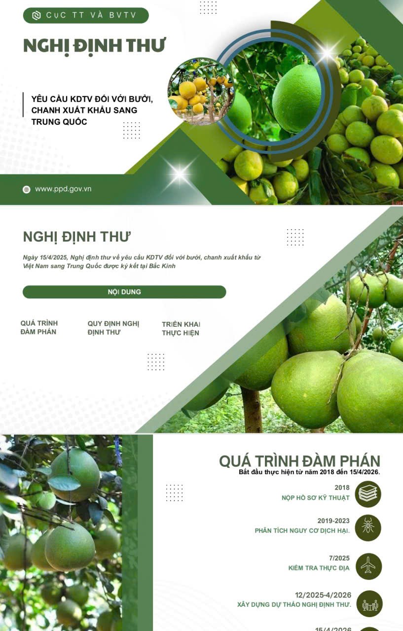 Rộng mở đường chính ngạch cho bưởi tươi và chanh tươi sang Trung Quốc