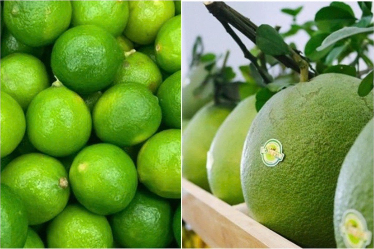 Rộng mở đường chính ngạch cho bưởi tươi và chanh tươi sang Trung Quốc