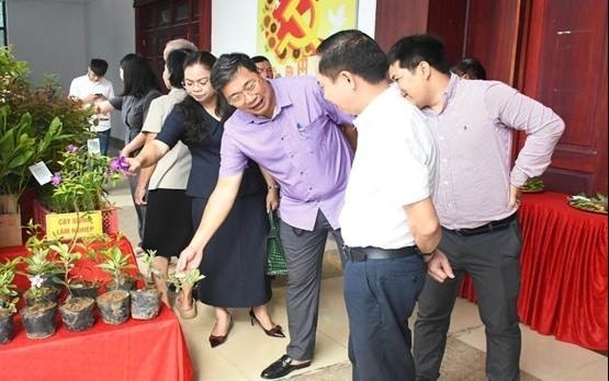 Hải Phòng: Đưa công nghệ vào quản lý rừng, mở hướng sinh kế xanh cho người dân