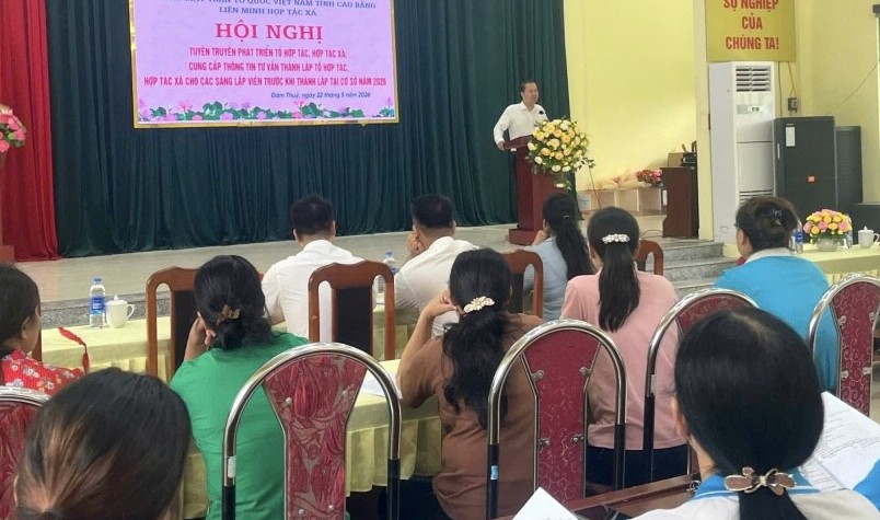 Cao Bằng: Tuyên truyền phát triển, tư vấn thành lập tổ hợp tác, hợp tác xã