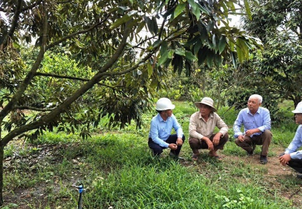 Đẩy mạnh cơ cấu lại ngành nông nghiệp gắn với đổi mới mô hình tăng trưởng