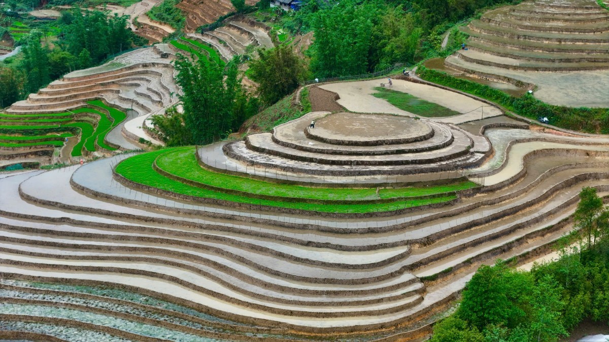 ngam ve dep binh yen cua ruong bac thang ta van mua nuoc do