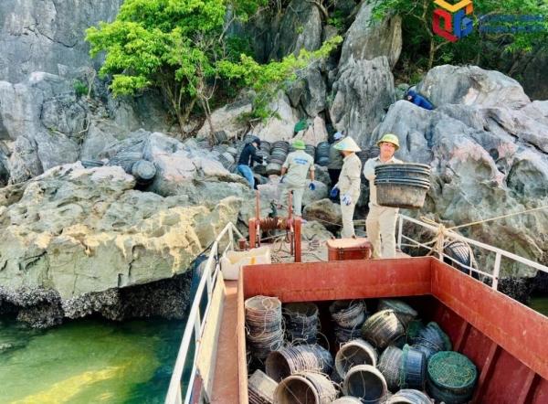 Quảng Ninh: Tiêu hủy 7.000 lồng bè, sau nuôi trồng thủy sản trái phép trên Vịnh Hạ Long