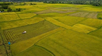 Lâm Đồng có cơ hội đưa điểm đến du lịch nông thôn ra sân chơi quốc gia