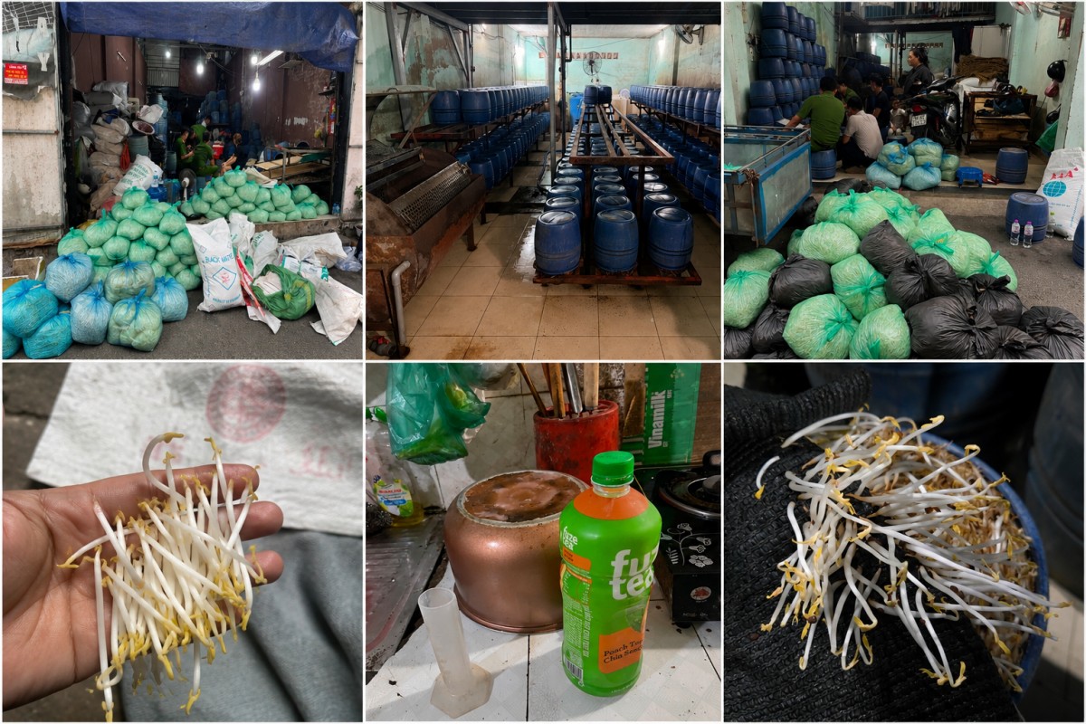TP.HCM: Khởi tố 4 đối tượng sản xuất giá đỗ ngâm hóa chất cấm, hơn 1.000 tấn đã ra thị trường