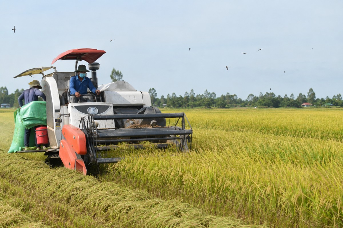 Đồng Tháp phát động chuyên đề thi đua xây dựng “Người nông dân chuyên nghiệp” giai đoạn 2026-2030