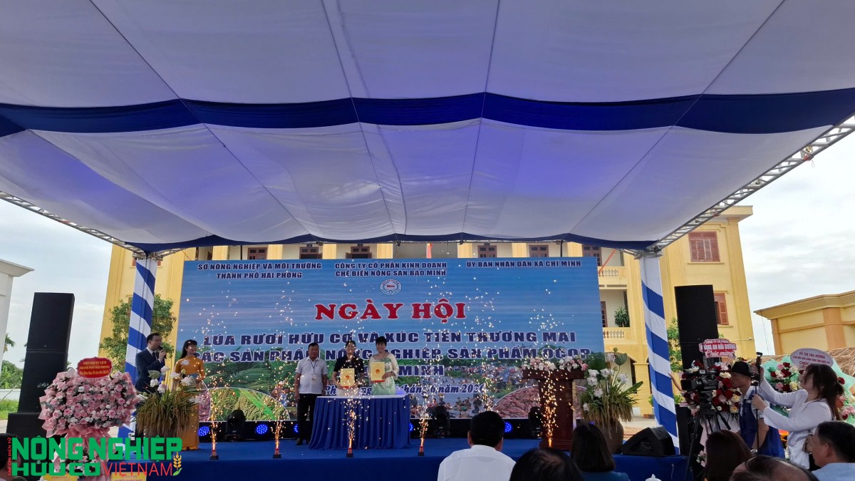 Lúa rươi hữu cơ xã Chí Minh – Bản hòa ca đa tầng giá trị