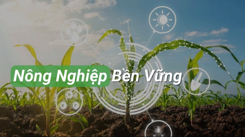 Đề xuất tiêu chí vùng nguyên liệu đạt chuẩn để thúc đẩy liên kết chuỗi giá trị nông nghiệp bền vững