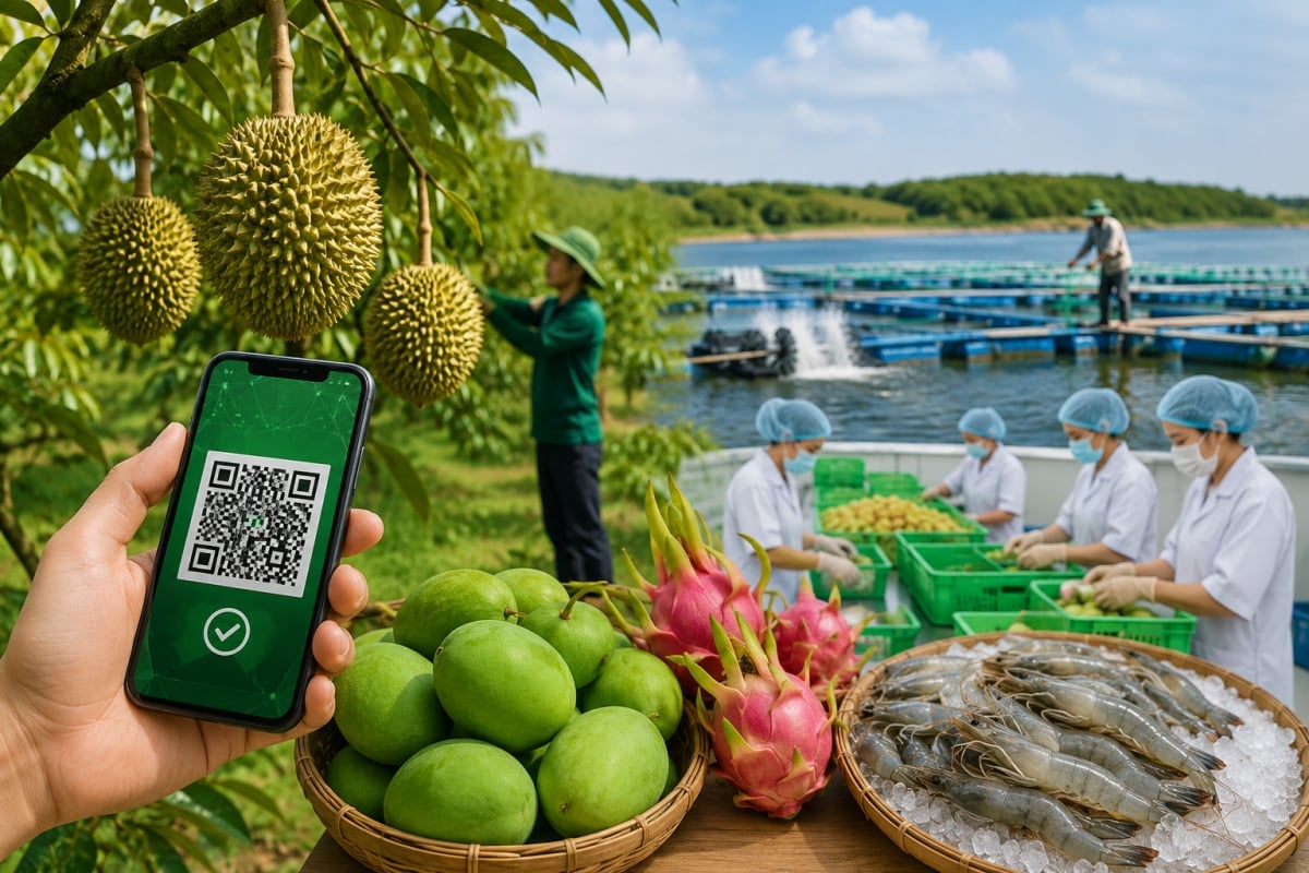 Hệ thống TXNG kết nối toàn bộ chuỗi cung ứng từ nông hộ, doanh nghiệp đến cơ quan quản lý, hỗ trợ theo dõi, truy vết và báo cáo dữ liệu theo thời gian thực. Ảnh: Minh họa.