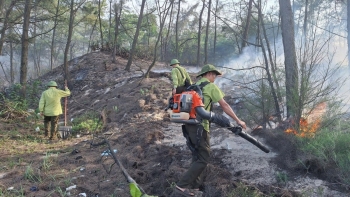 Tp. Huế: Lực lượng Kiểm lâm kịp thời khống chế vụ cháy tại xã Phú Vinh