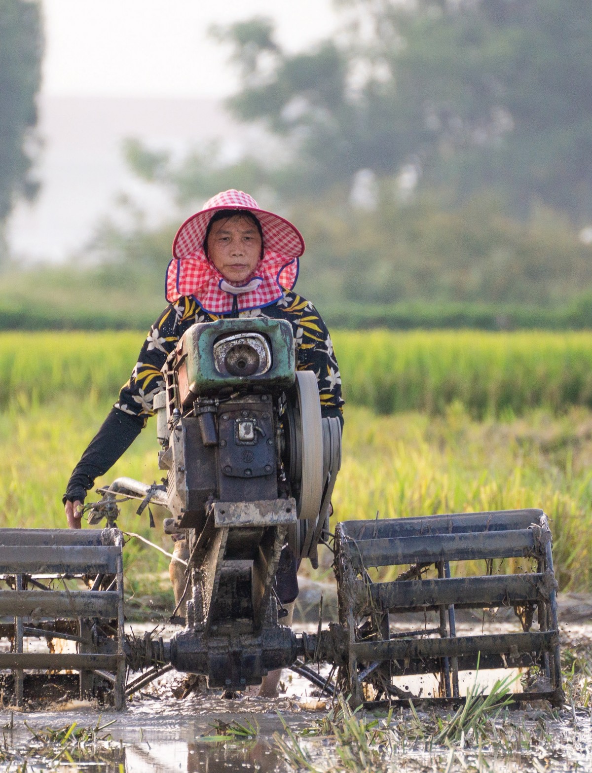 Khi báo chí trở thành cầu nối giữa nhà khoa học và người nông dân