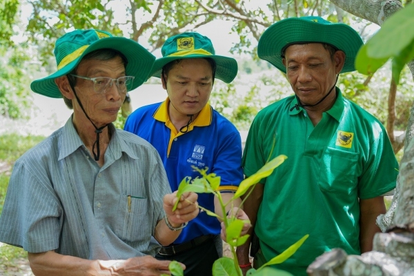 Mang giải pháp dinh dưỡng khoa học cho điều Campuchia: Hành trình kiến tạo những mùa vàng thịnh vượng