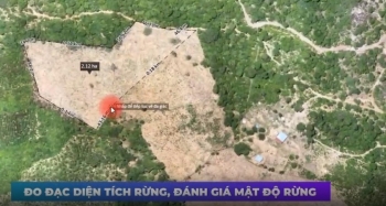 Công nghệ số mở đường cho nông nghiệp hữu cơ: Từ khảo sát thông minh đến quản trị vùng trồng