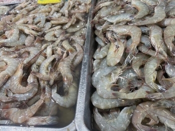 Tranh chấp thủy sản giữa Malaysia và Thái Lan sắp được tháo gỡ?