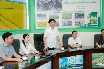 Quảng Trị: Ban Tuyên giáo và Dân vận Tỉnh ủy thăm, làm việc với SEPON GROUP