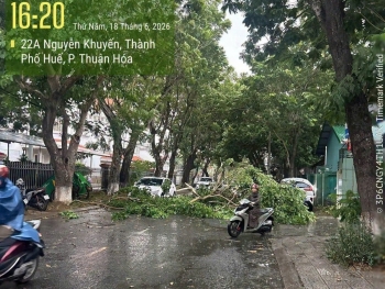 Tp. Huế: Hiện tượng thời tiết cực đoan tác động đến nhiều địa phương