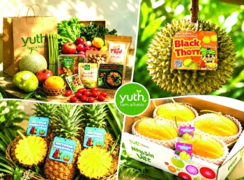 Giữ màu xanh ở lại với đất